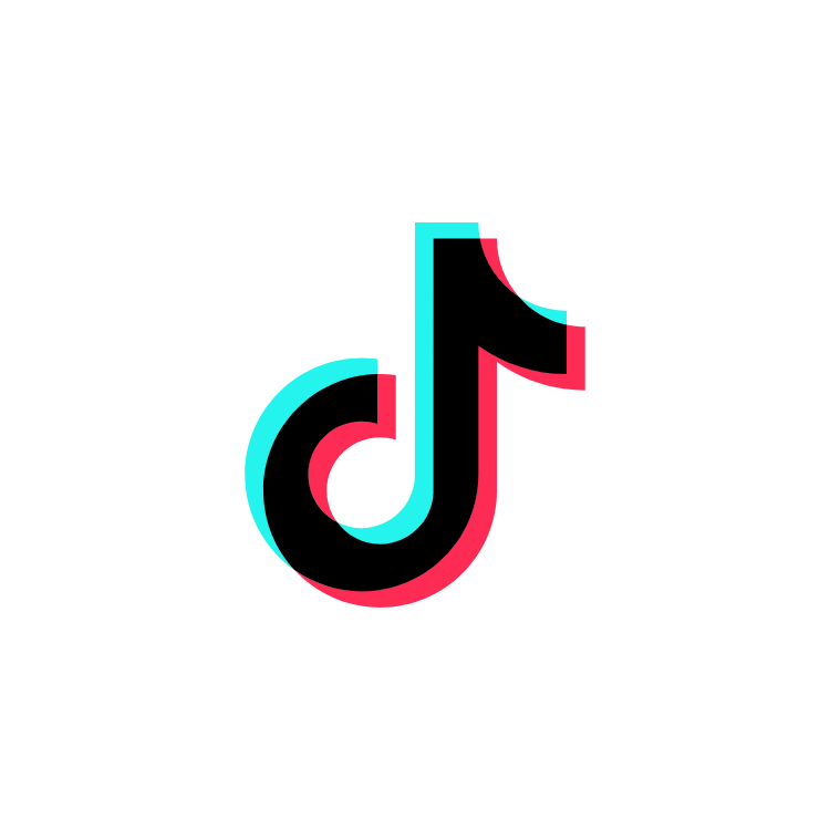 TikTok : Master Art